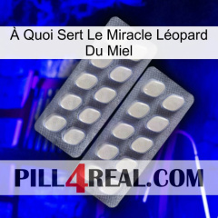 À Quoi Sert Le Miracle Léopard Du Miel 07